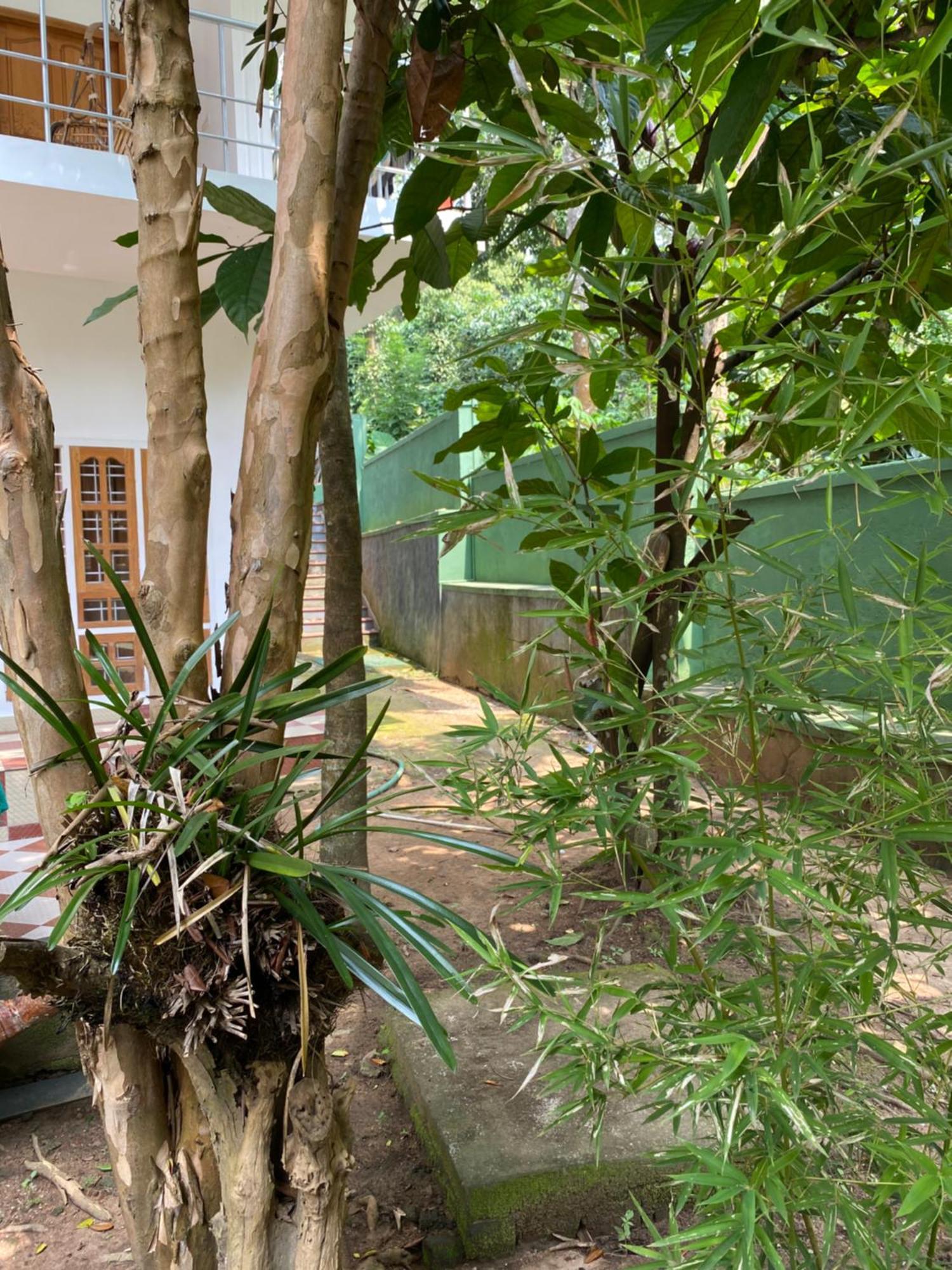 Tranquilou Homestay Thekkady Exterior foto